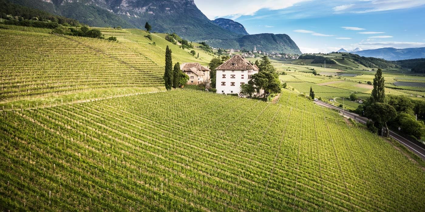 Weinberg Castel Ringberg in S&uuml;dtirol